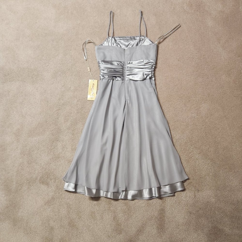 Cinderella Design Dress - Picture 2 of 3